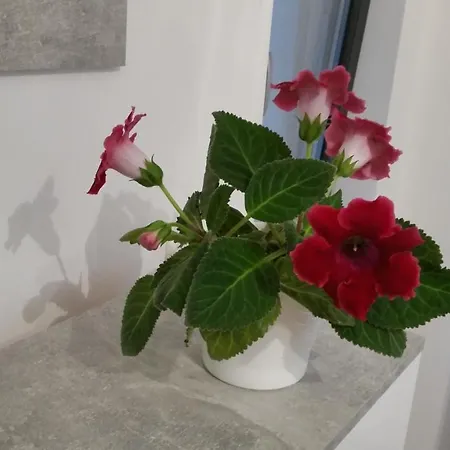 Eapartment Apartamento Bucareste