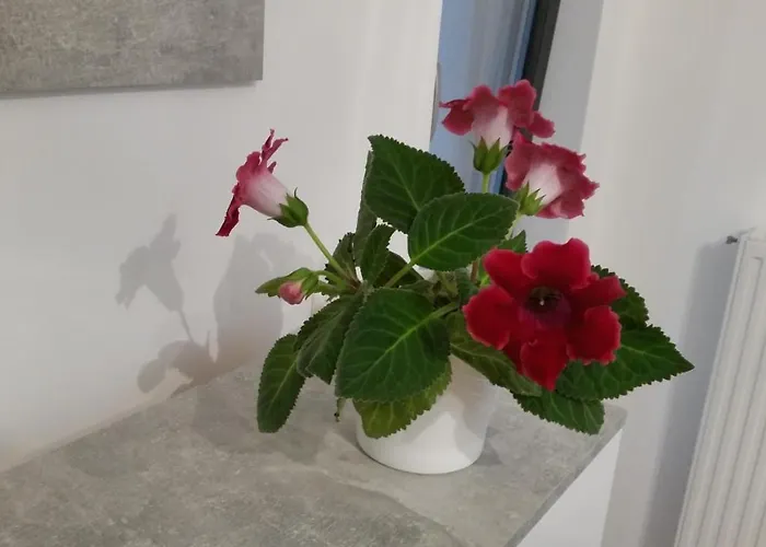 Eapartment Apartment Bucharest